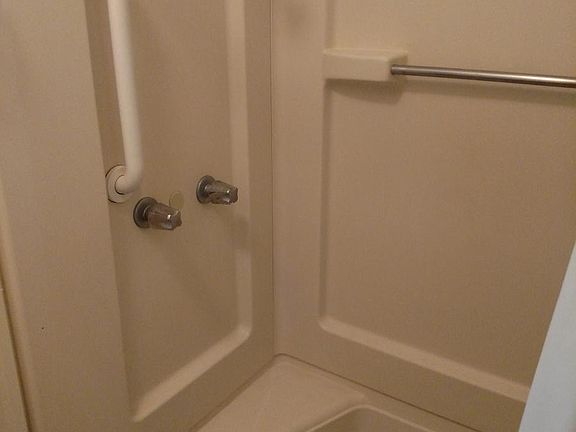 Master Bath Shower
