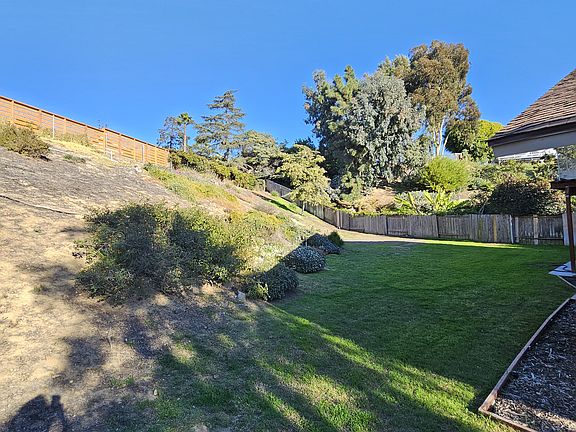 Left Corner of the backyard