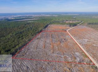 TRACT 5 Morris Break Rd, Odum, GA 31555