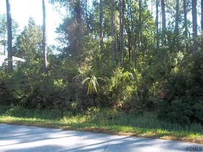 17 Potterville Ln, Palm Coast, FL, 32164