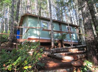 19 N Dow Mountain Rd, Hoodsport, WA 98548
