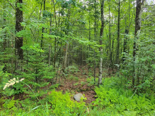 0 Union Hill Road, Stow, ME 04037