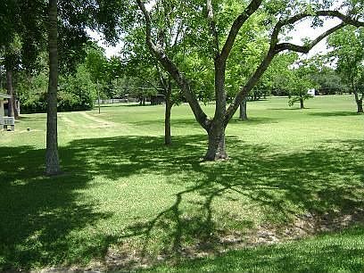 Beautiful Acre+  w/ Trees