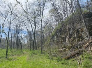 0 County Road 846, Boss, MO 65440