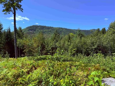 F2 Cave Mountain Road, Bartlett, NH, 03812