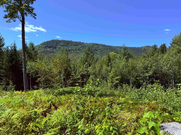 F2 Cave Mountain Road, Bartlett, NH 03812