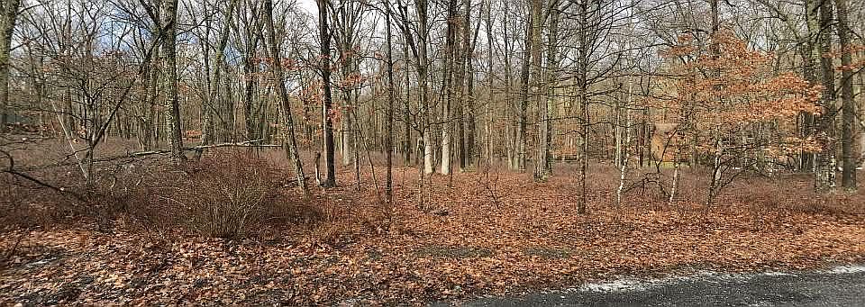 2nd image of 0 Dogwood Ln