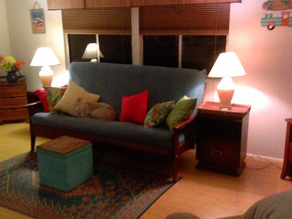 energy saving window covers