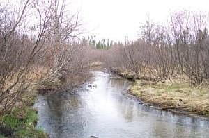 Creek View