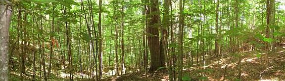 Another view of property