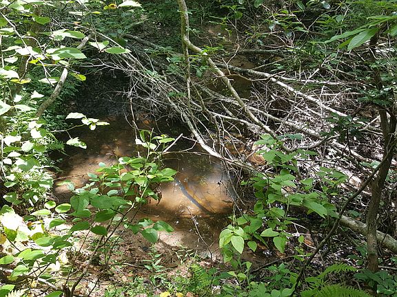 4th image of Belmont Dr
