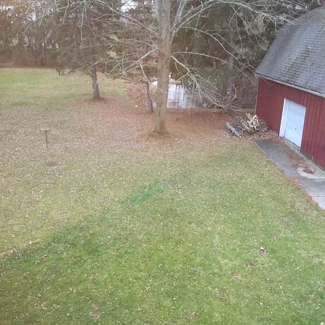 View from rear window