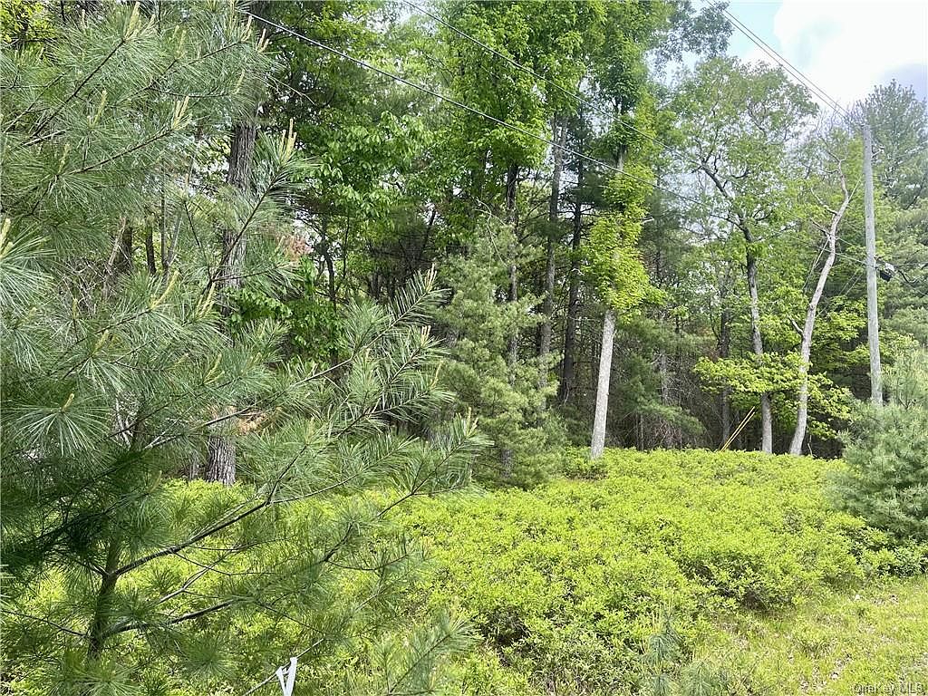 Decker Road, Glen Spey, NY 12737 MLS H6252962 Zillow