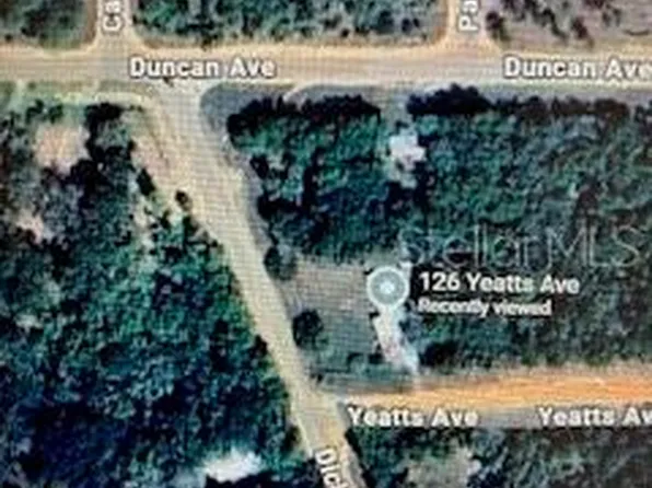 126 Yeatts Ave Lot 29, Interlachen, FL 32148