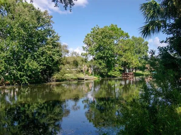 225 BIRCHWOOD DRIVE, PALM COAST, FL 32137