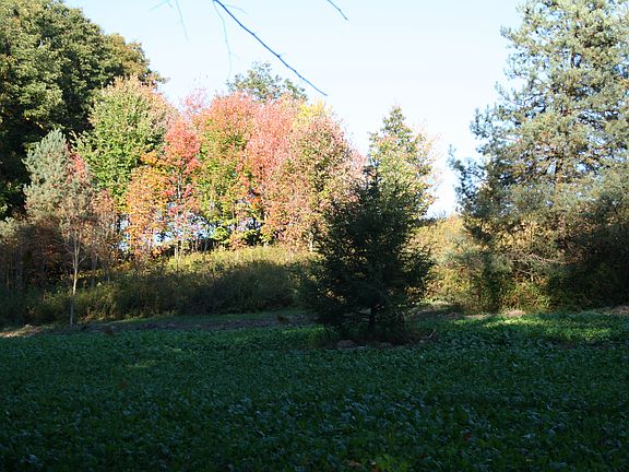 4th image of Pine Hill Road