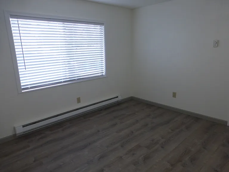 More of the large living room with neutral laminate wood floors and new window blinds.