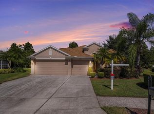23815 Estero Ct, Land O Lakes, FL 34639