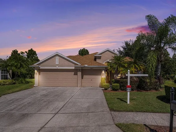 23815 Estero Ct, Land O Lakes, FL 34639