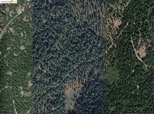 27901 Salt Springs Rd, Pioneer, CA