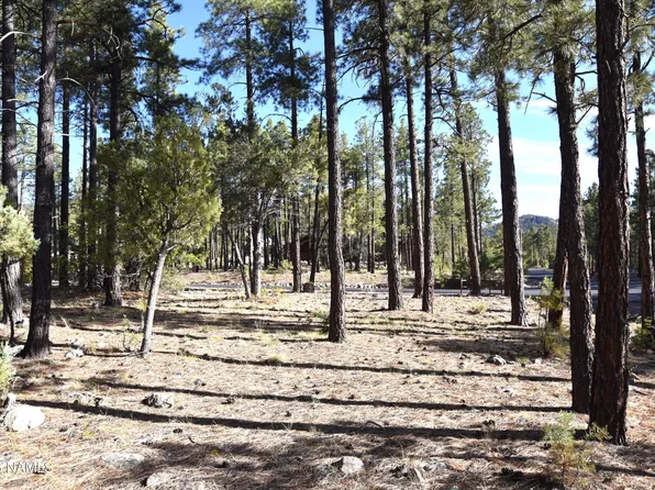 1085 Timbernook Xing, Williams, AZ 86046