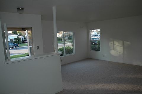 new windows 