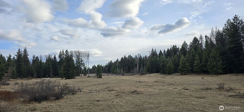 5th image of 99 Prior Loop Road