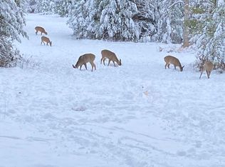 15823 Long Rapids Rd, Lachine, MI 49753