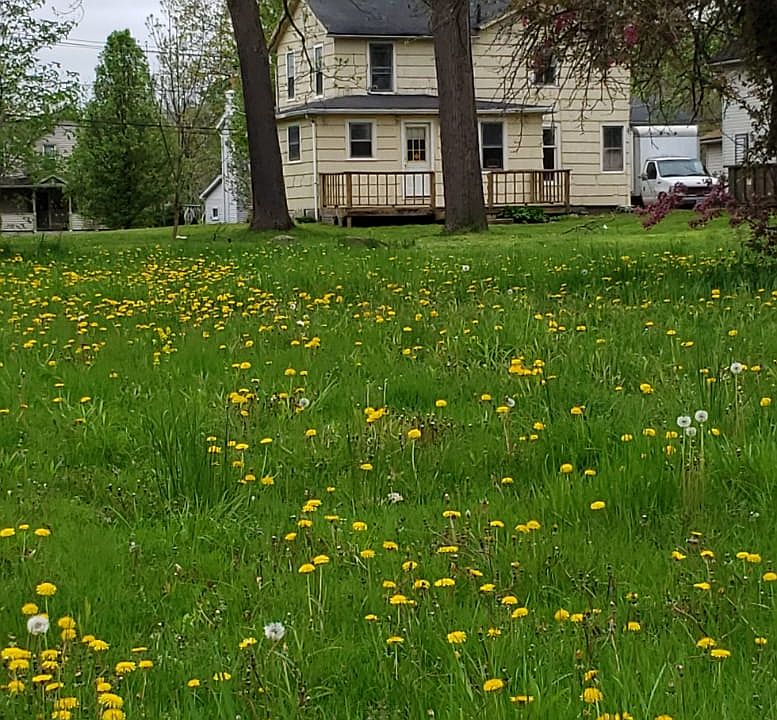 1st image of 407 Hunter Ave