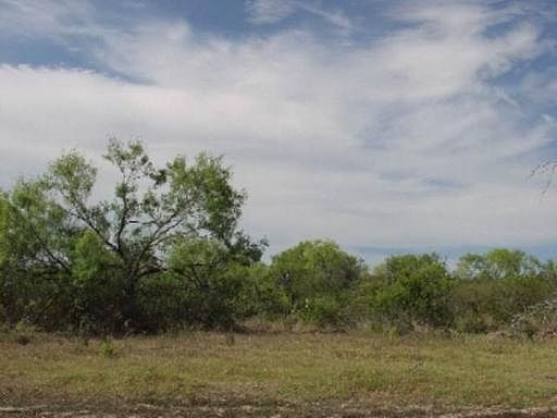 2nd image of 25 ACRES CR 341