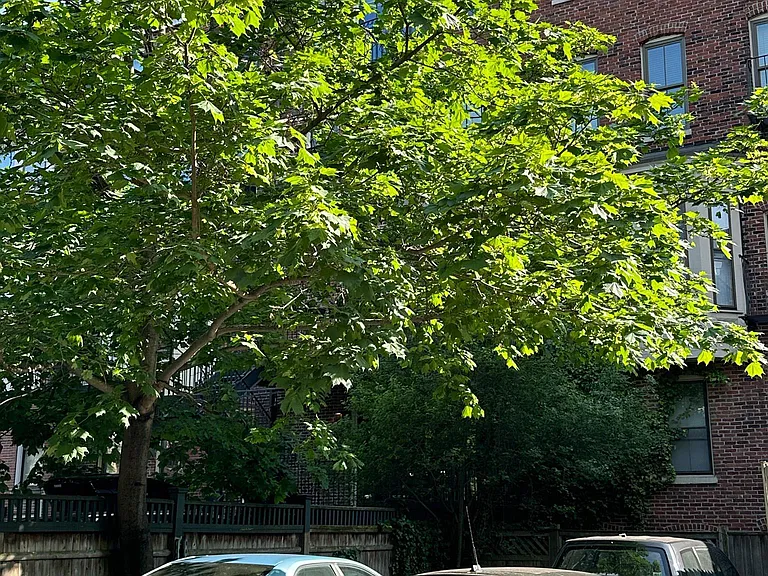 33 Holyoke St — Photo 22