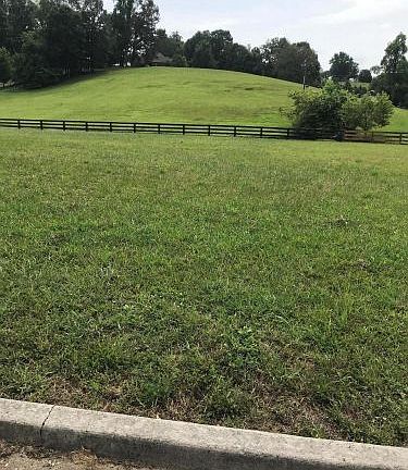 5th image of 79 Evening Shade Dr