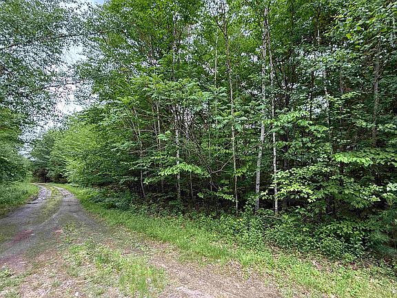 4th image of Lot 6 Akerman Road