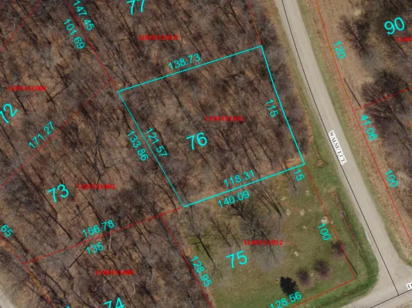 76 Walnut Ct, Dahinda, IL 61428