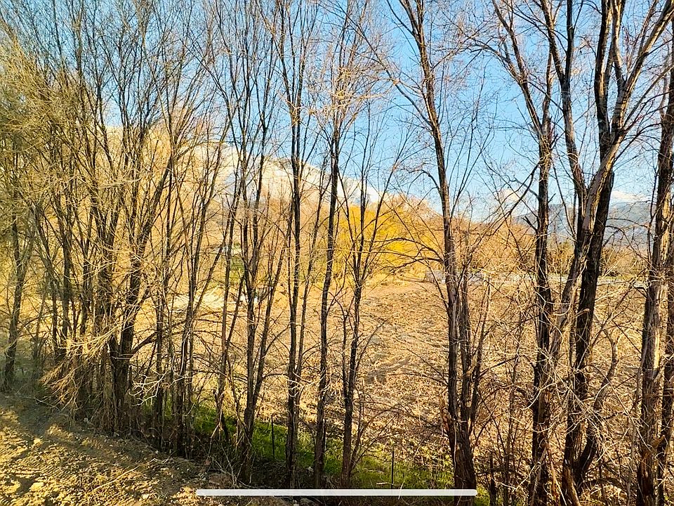 The backyard view of the trees and mountians.