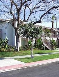 1st image of 1515 S Calle Del Mar