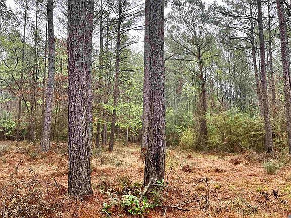 4th image of 2 Hinton Rd