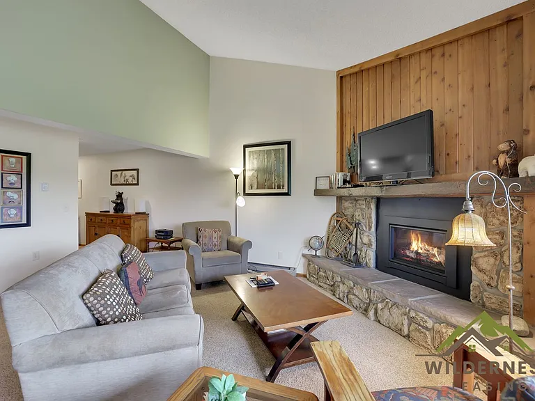 4811 Ryan Gulch Rd #4832 — Photo 9
