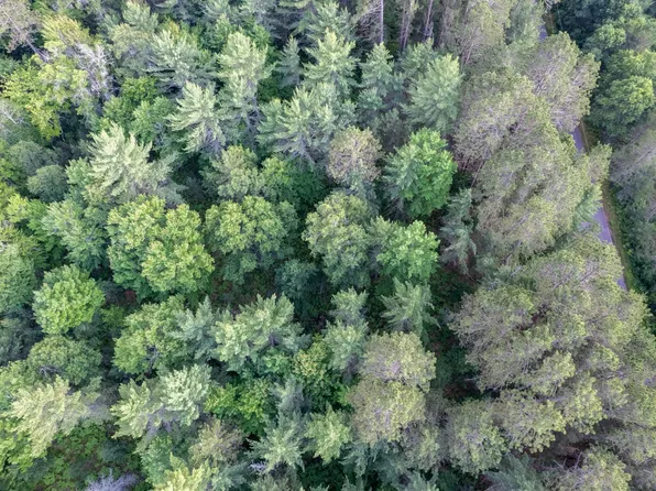 LOT 16 Dads Lake Rd, Eagle River, WI 54521