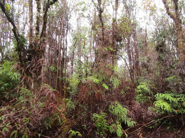 11-1848 Mikana St Lot 46, Mountain View, HI 96771