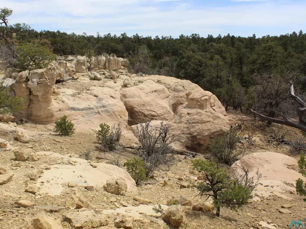 41-42 43 Oakcrest Ln, Pinehill, NM 87357