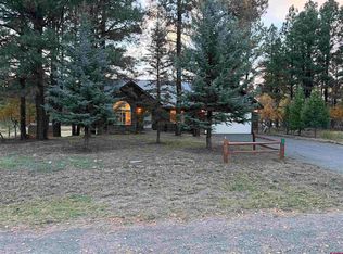 285 Beaver Cir, Pagosa Springs, CO 81147