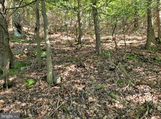 LOT 89 Ridge Run Rd, Claysburg, PA 16625