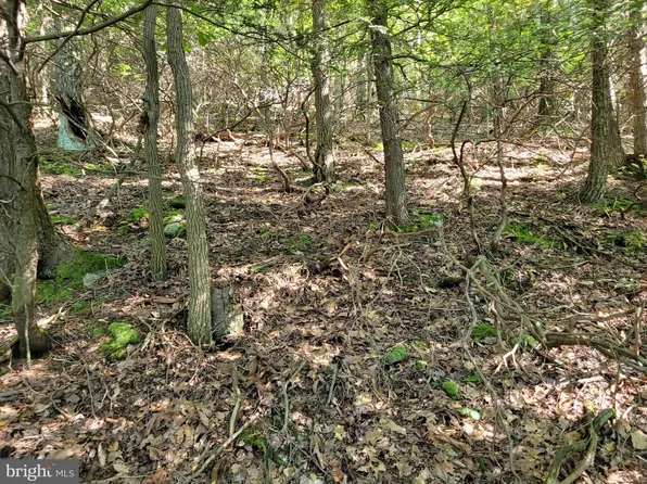 LOT 89 Ridge Run Rd, Claysburg, PA 16625