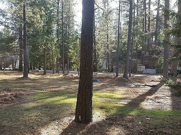 4th image of 16996 Old Downieville Hwy