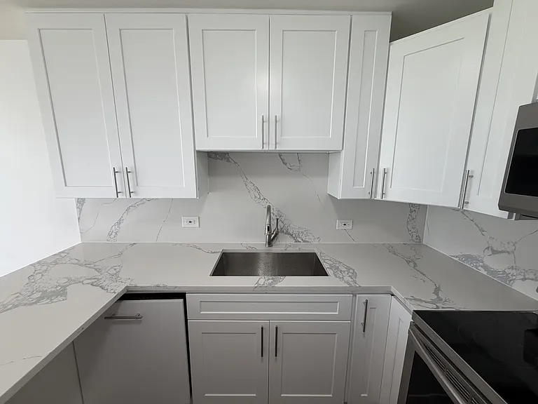 1540 N Lasalle St #403 — Photo 11