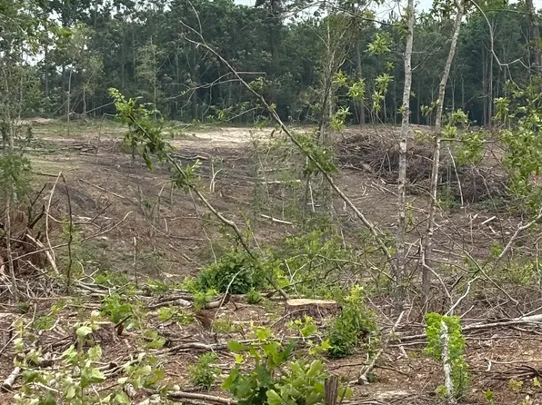 Highway 355 S, Saratoga, AR 71859