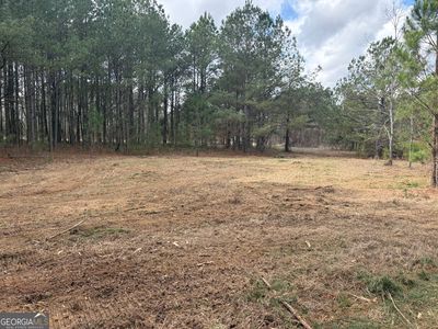 L2&3 Keysville Boggs Academy Rd, Keysville, GA, 30816