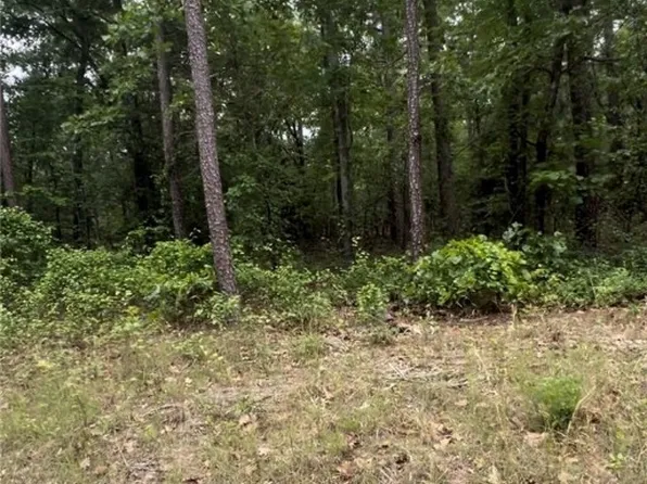LOT 25 Cedar Ln, Eagle Springs, NC 27242