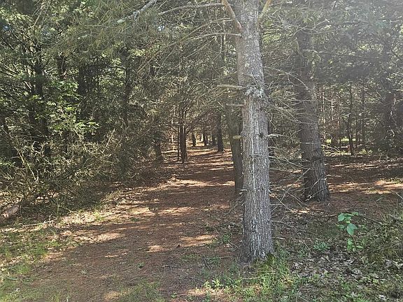 5th image of 1 Woodland Ave